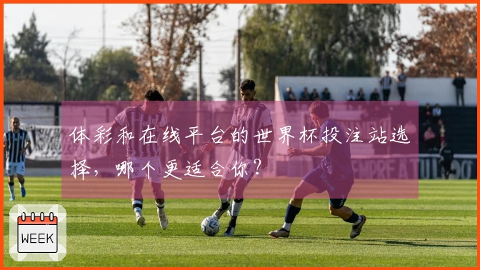 体彩和在线平台的世界杯投注站选择，哪个更适合你？