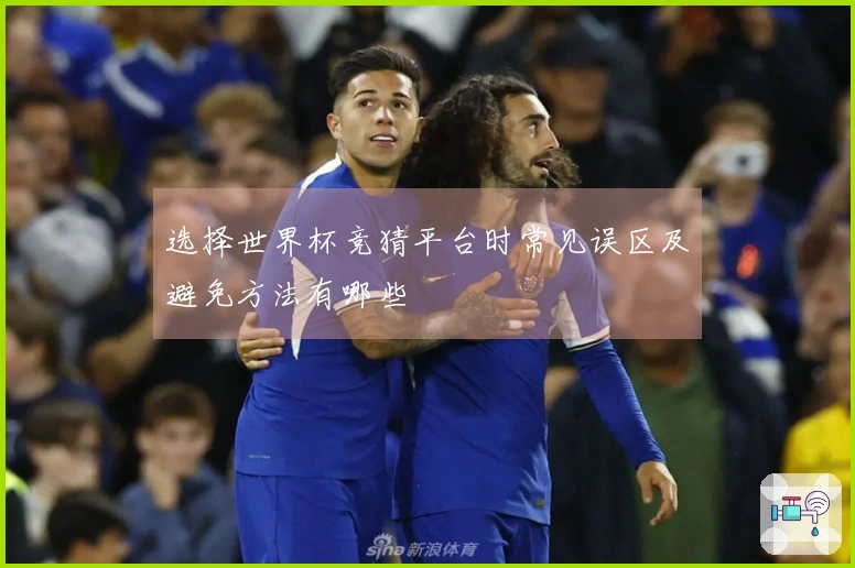 选择世界杯竞猜平台时常见误区及避免方法有哪些