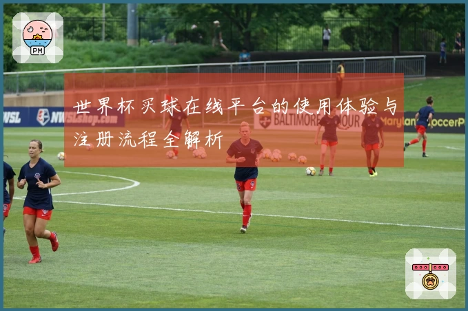 世界杯买球在线平台的使用体验与注册流程全解析
