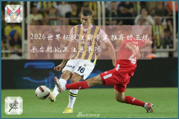 2026世界杯投注前专家推荐的正规平台对比及注意事项