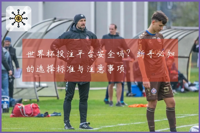 世界杯投注平台安全吗？新手必知的选择标准与注意事项