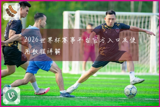2026世界杯赛事平台官方入口及使用教程详解