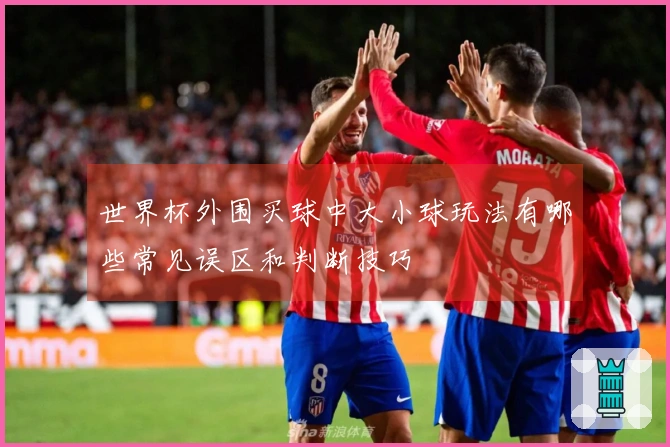 世界杯外围买球中大小球玩法有哪些常见误区和判断技巧