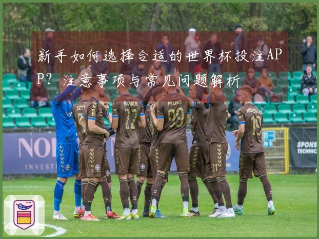 新手如何选择合适的世界杯投注APP？注意事项与常见问题解析