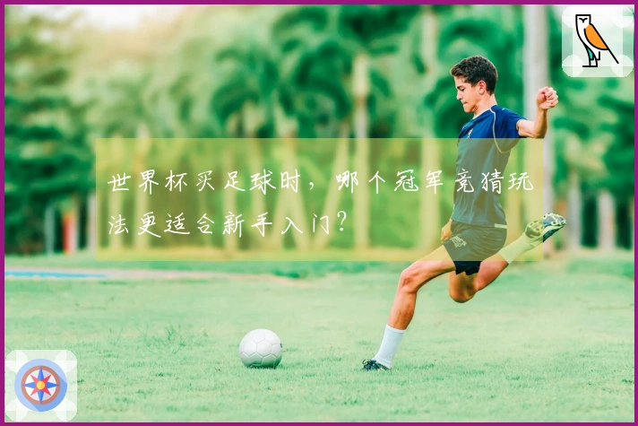 世界杯买足球时，哪个冠军竞猜玩法更适合新手入门？
