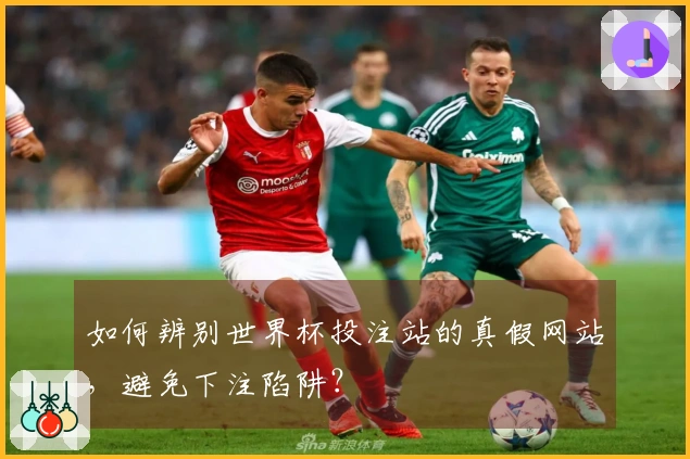 如何辨别世界杯投注站的真假网站，避免下注陷阱？