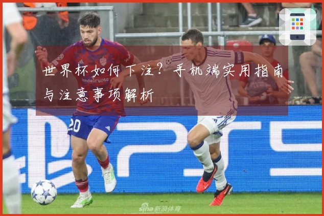 世界杯如何下注？手机端实用指南与注意事项解析