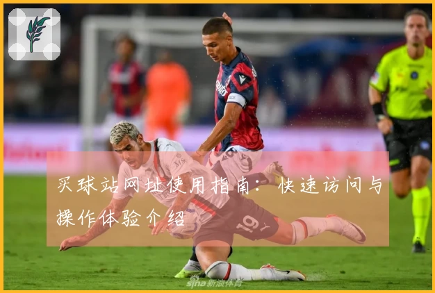 买球站网址使用指南：快速访问与操作体验介绍