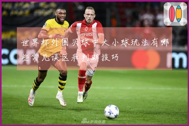 世界杯外围买球中大小球玩法有哪些常见误区和判断技巧