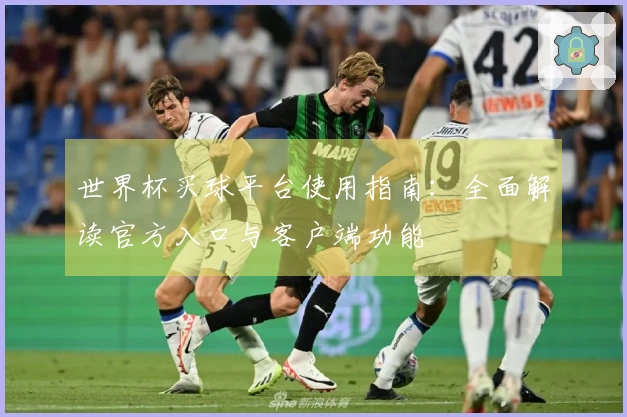 世界杯买球平台使用指南：全面解读官方入口与客户端功能