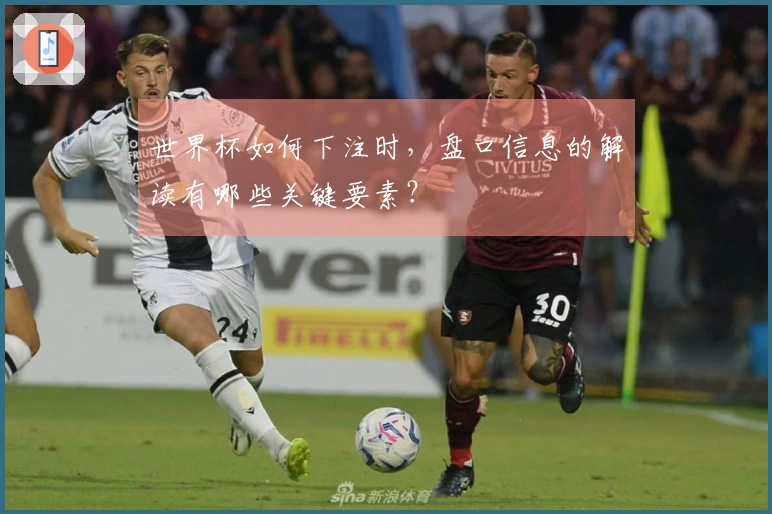世界杯如何下注时，盘口信息的解读有哪些关键要素？
