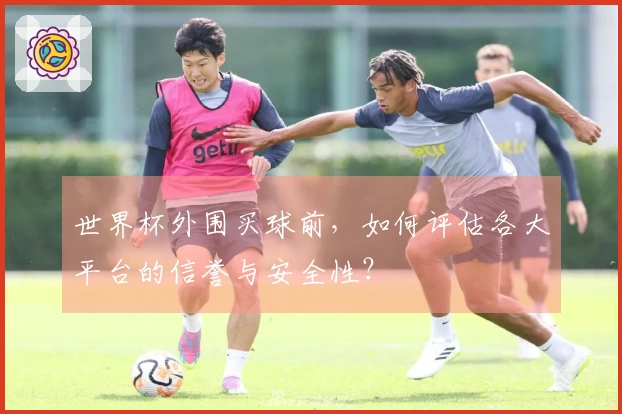 世界杯外围买球前，如何评估各大平台的信誉与安全性？