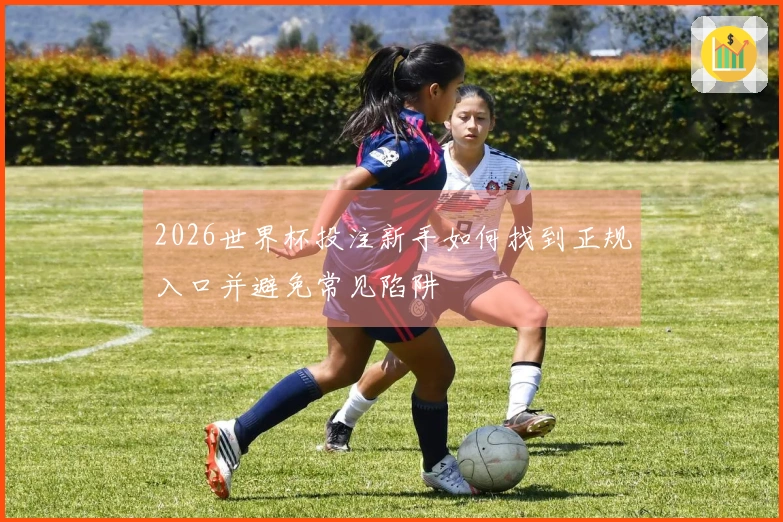 2026世界杯投注新手如何找到正规入口并避免常见陷阱
