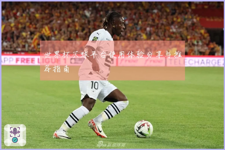 世界杯买球平台使用体验分享与推荐指南
