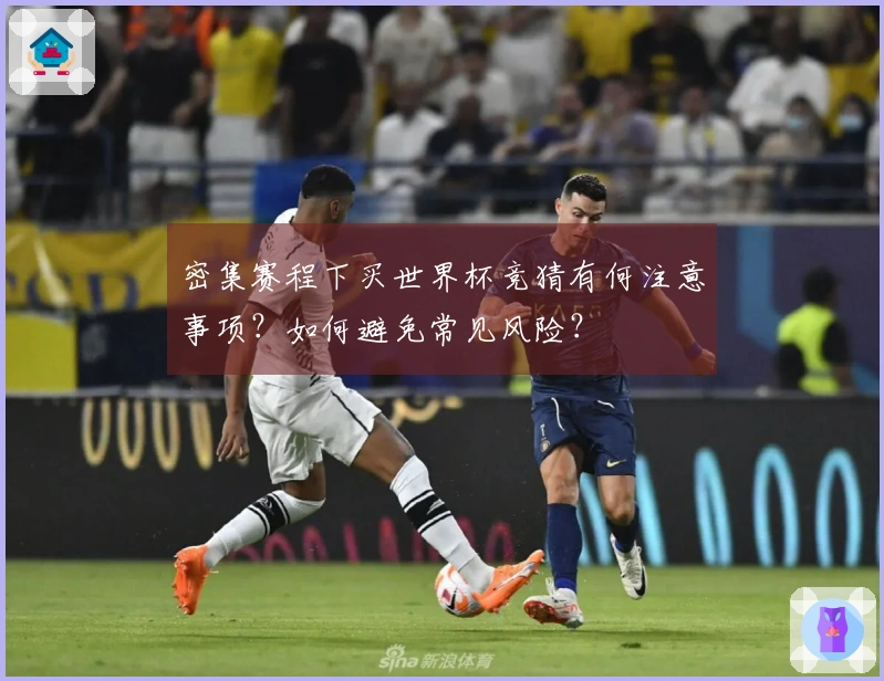 密集赛程下买世界杯竞猜有何注意事项？如何避免常见风险？