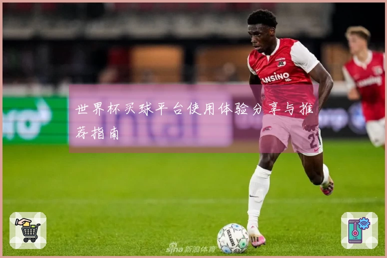 世界杯买球平台使用体验分享与推荐指南