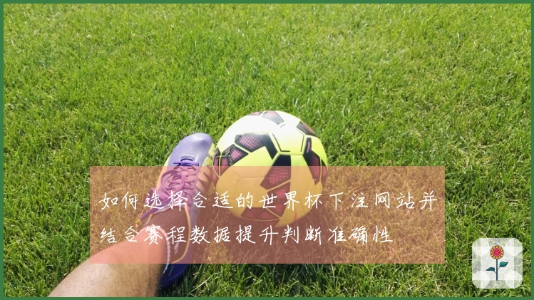 如何选择合适的世界杯下注网站并结合赛程数据提升判断准确性